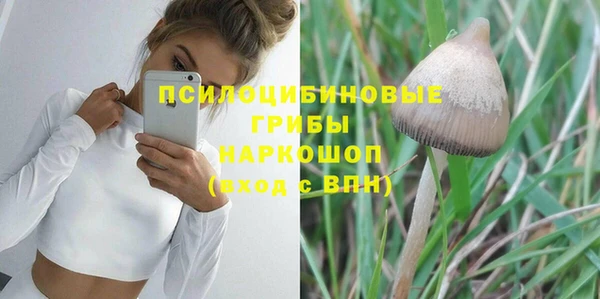 гашик Новозыбков