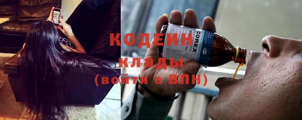 apvp Няндома
