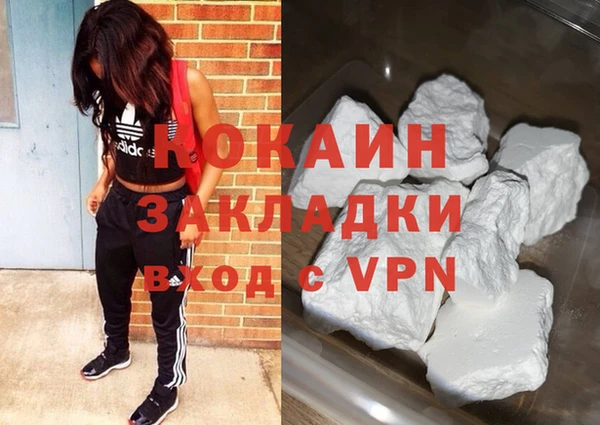 гашик Новозыбков