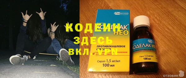 apvp Няндома