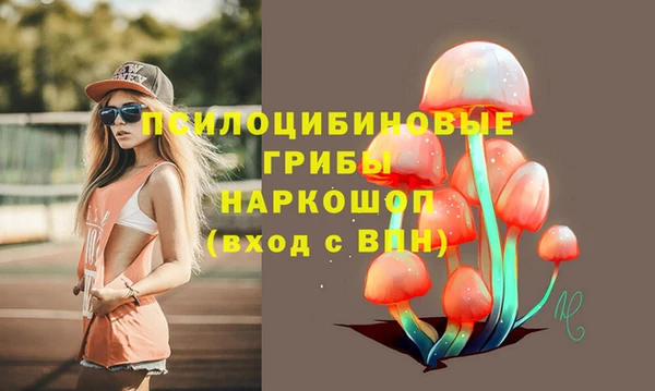 герыч Новодвинск
