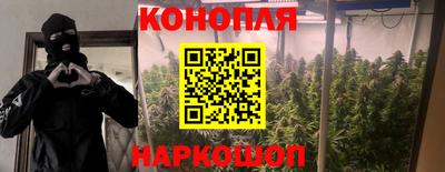 дурь Заволжье
