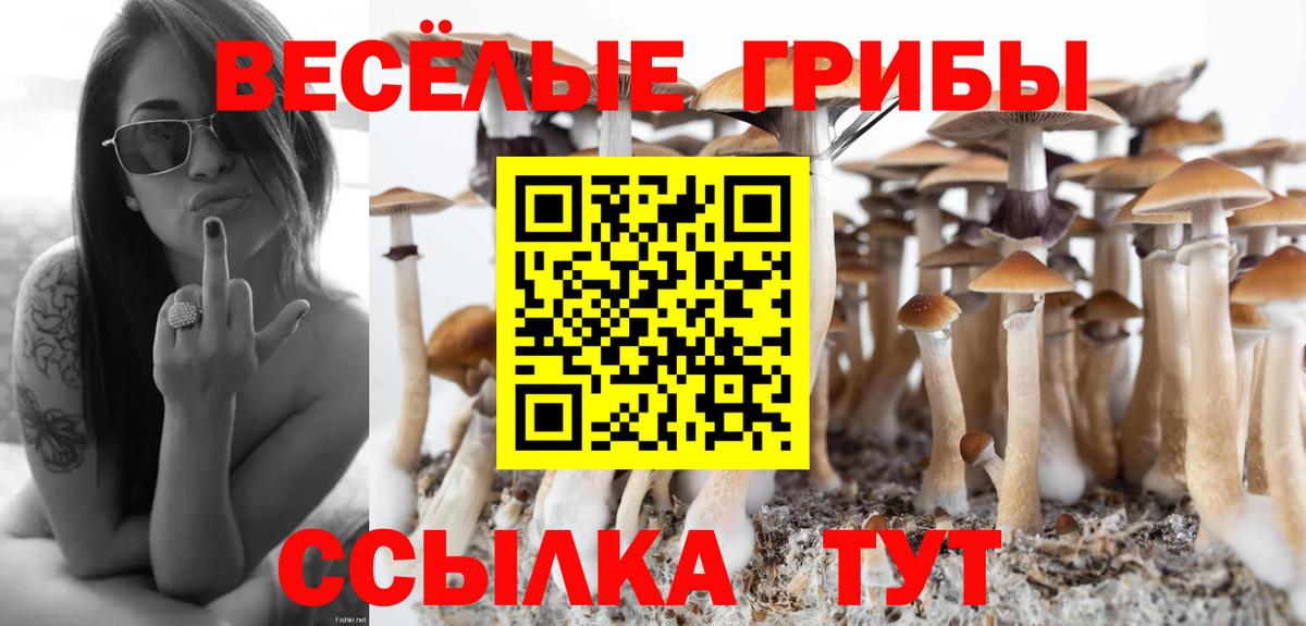 Галлюциногенные грибы мухоморы  Вход с VPN  Мичуринск 